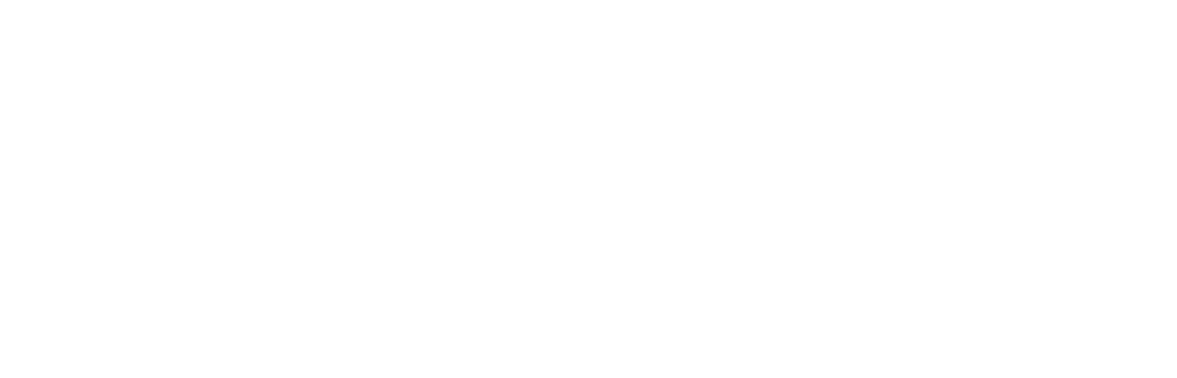 waldhaus-mannheim
